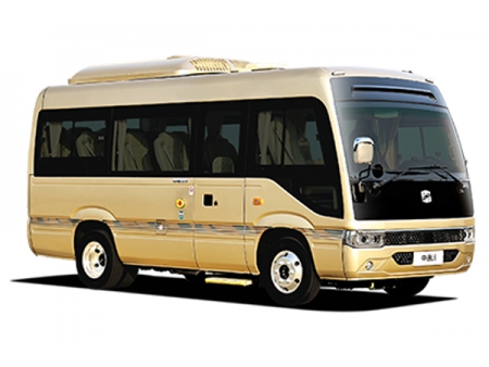 Autobús para grupo (TOP) 6609EV