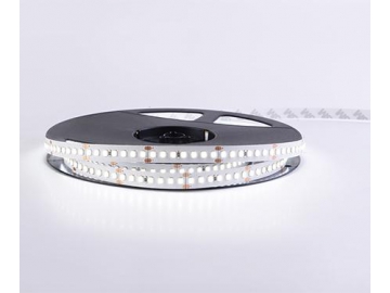 Tira LED flexible para interiores  10mm 24V D8168