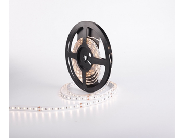 Tira LED flexible  10mm 24V D760