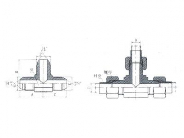 Adaptador de manguera macho cono 74º JIC, AJ