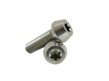 Tornillo Torx