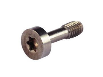 Tornillo Torx