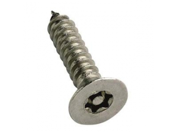 Tornillo Torx