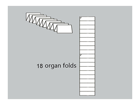 Plegadora de papel de 10 y 8 hebillas