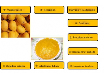 Líneas de procesamiento de pulpa de mango