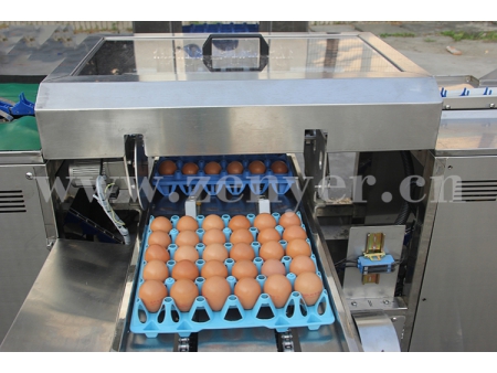Empacadora de huevos 710 (10000 huevos/hora)