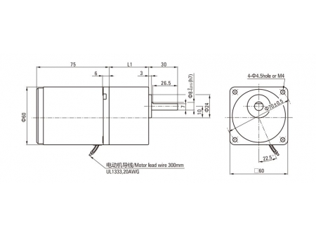 Motor de inducción de 60mm 6W