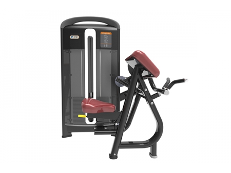 Máquina para curl de bíceps TZ-4013