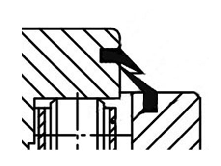 Coronas de orientación