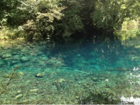 Solución y tecnología de procesos de tratamiento de agua para jardines y paisajismo