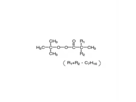 Peroxineodecanoato de terc-butilo (TBPD)