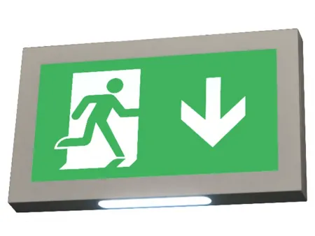 Señal de salida de emergencia LED de instalación múltiple con carcasa plástica, LE2915