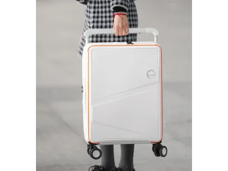 Maleta para facturar