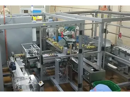 Sistema automático de envasado de fideos