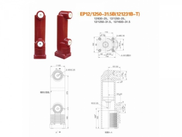 Polos encapsulados <small>(Polos encapsulados para sistemas de distribución de electricidad de 12kV)</small>