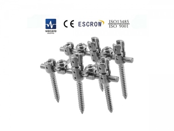 Sistema de fijación vertebral Torx KSS-I6.0