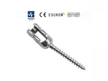 Sistema de fijación vertebral Torx KSS-I6.0