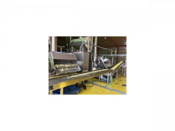 Línea de producción de patatas fritas congeladas