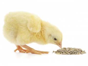 Sílice precipitado para nutrición animal